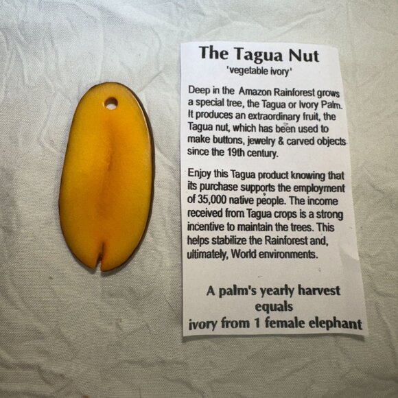 Authentic Tagua Nut Pendant Vegetable Ivory Rainforest Sustainable Jewelry - Picture 4 of 6